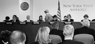 American Red Cross representatives respond to questions from hearing co-sponsors regarding the Red Cross plan to divert over $200 million of the W.T.C. funds for other purposes.