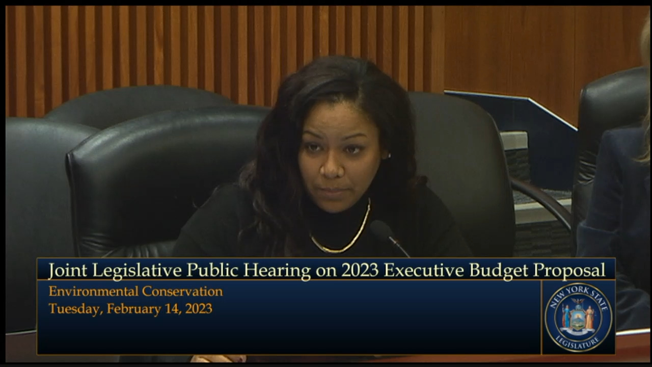 ENCON Commissioner Testifies During Budget Hearing on Environmental Conservation, Agriculture and Energy